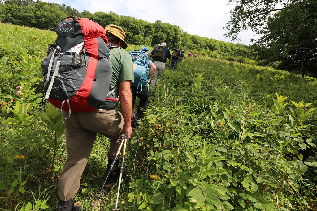 Hike in Bovina