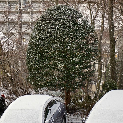 trees snow cars japan scenes selp1650 ilce6000