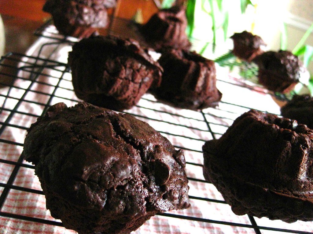 Double Chocolate Muffins // Mini Bundt Pans ftw