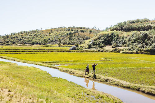 africa 2 people field rural landscape rice mg april madagascar 2014 antananarivo iso160 f32 manjakandriana 0ev ••• ¹⁄₁₀₀₀secatf32 ef40mmf28stm