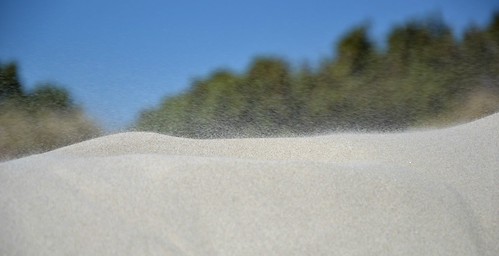 pettinate dal vento | by kris*foto