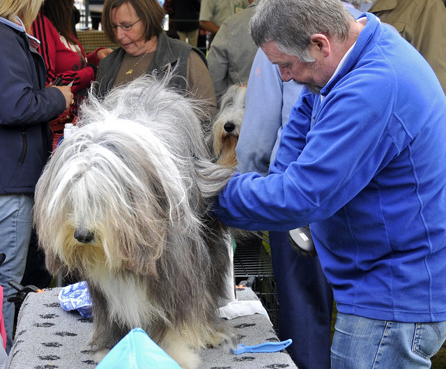 Dog show @ Ingliston ,near Edinburgh,Scotland