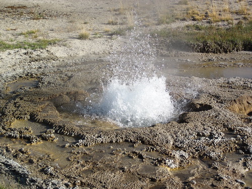 Rotten Spring Ragged Spring erupting (5:30 PM on, 5 August 2013) 30 | Flickr