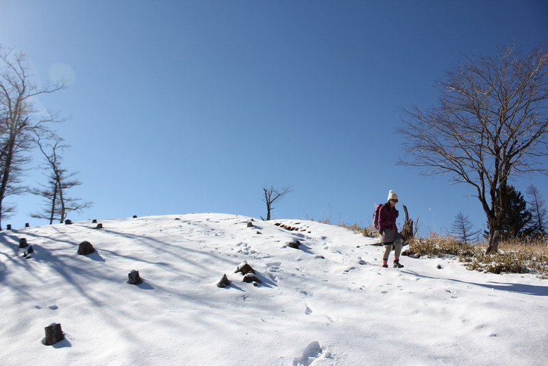 雪が積もる笠取山