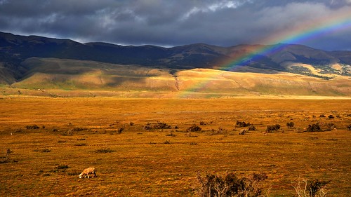 chile patagonia clouds rainbow chili sheep torresdelpaine pampa torresdelpainenp elitephotography quernosdelpaine