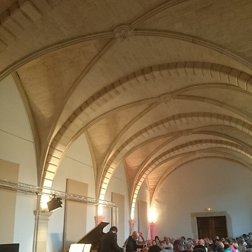 Musiciens violon et violoncelle  #cellessurbelle #concert #deuxsèvres #poitoucharentes #igersfrance #igersniort #bonjour_080714 | by tino7919