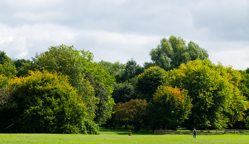 Trees turning, Bantock