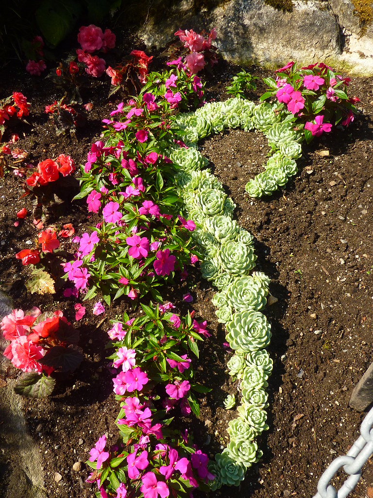 Bunte Blütenmischung - Begonien, Springkraut und Sedum; Queen Elizabeth Park, Vancouver (6)