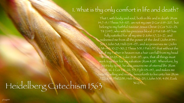 1. What is thy only comfort in life and death?