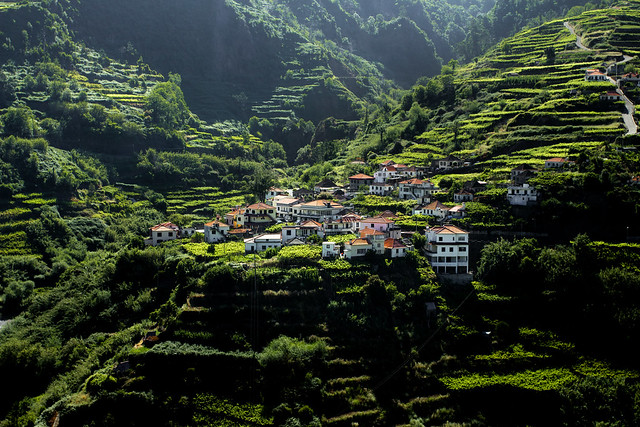 Life on the edge - Madeira