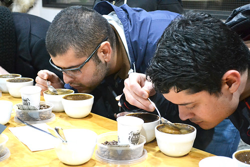 Coffee Roasters Visit & Cupping Session