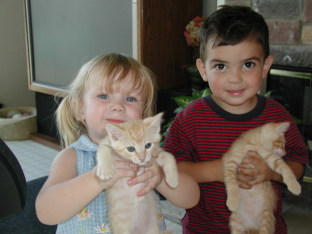 Kids with Kitties