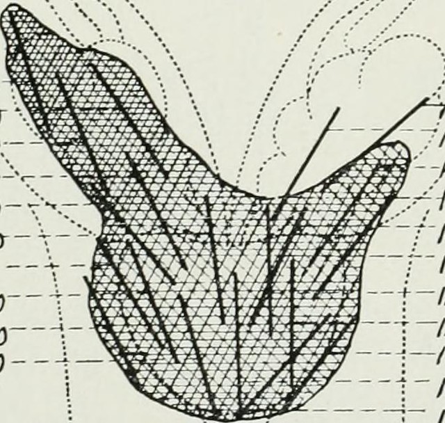 Image from page 46 of 