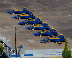 Blue Angels 1-6 on the Boeing Field (KBFI) Tarmac