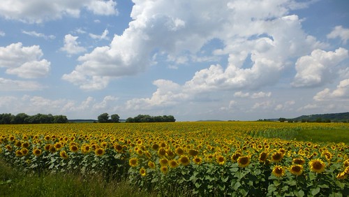 My bike trip form Česká Třebová to Prague in 2days sleeping in tent and ride about 15h33m and over 205Km nice trip, notes from this trip you can find at my blog blog.adlg.cz by André de la Gare, cycling republic czech ctprgadlgcz