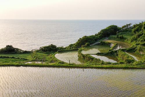 sunset japan island kyushu riceterrace nagasakipref