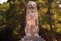 Lion of Amfipolis-Ο Λέων της Αμφίπολης