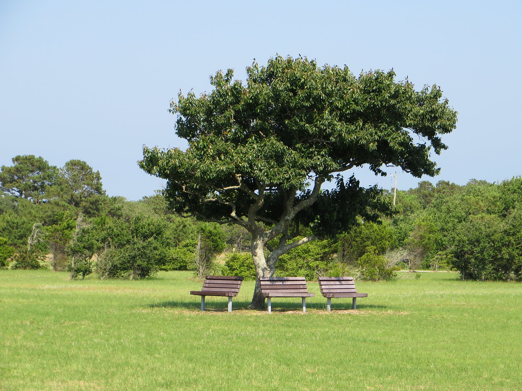 Centennial Park