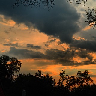 Sunset, July 23, 2014 #sun #sunset #summer #sky #orange #arlingtonva #nova #trees #amazing