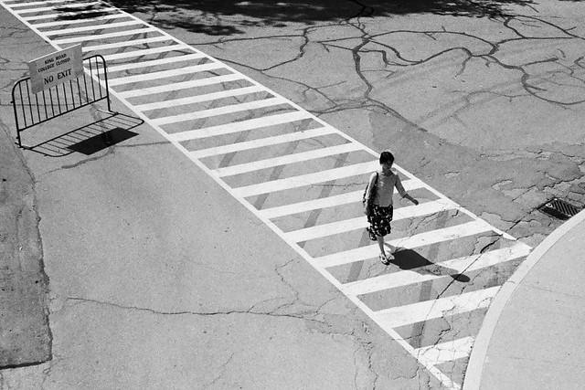 Pedestrian crossing - King's College Circle, Toronto