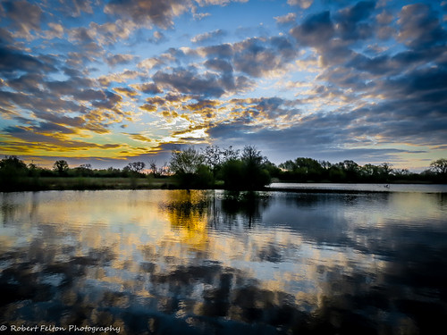 Peace by Robert felton Photography, winter light sky lake reflection reed water reeds bedford bedfordshire felton robertfelton bedfordri