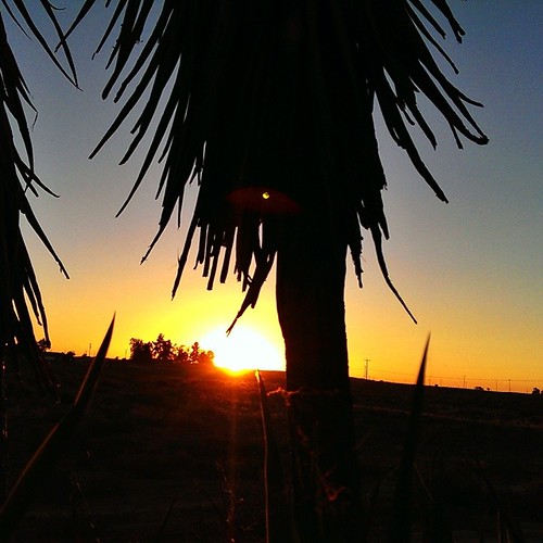 #4thofJuly #sunset at #haulihuvila by majamaki, square squareformat iphoneography instagramapp uploaded:by=instagram foursquare:venue=4bfee985e584c9