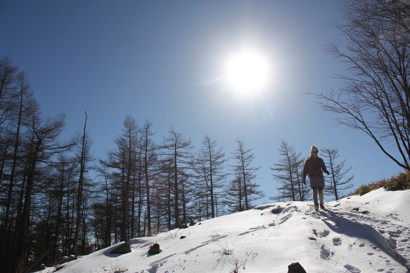 冬の笠取山