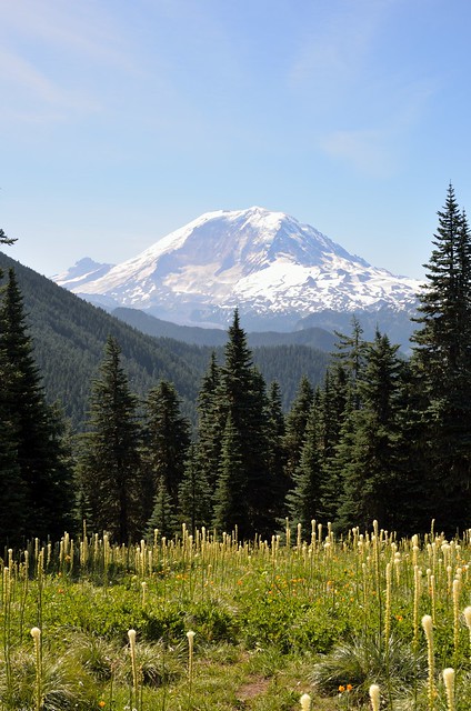 Mount Rainier and Bear Grass