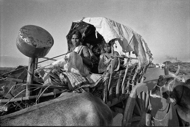 Migrant family on bullock cart 1997