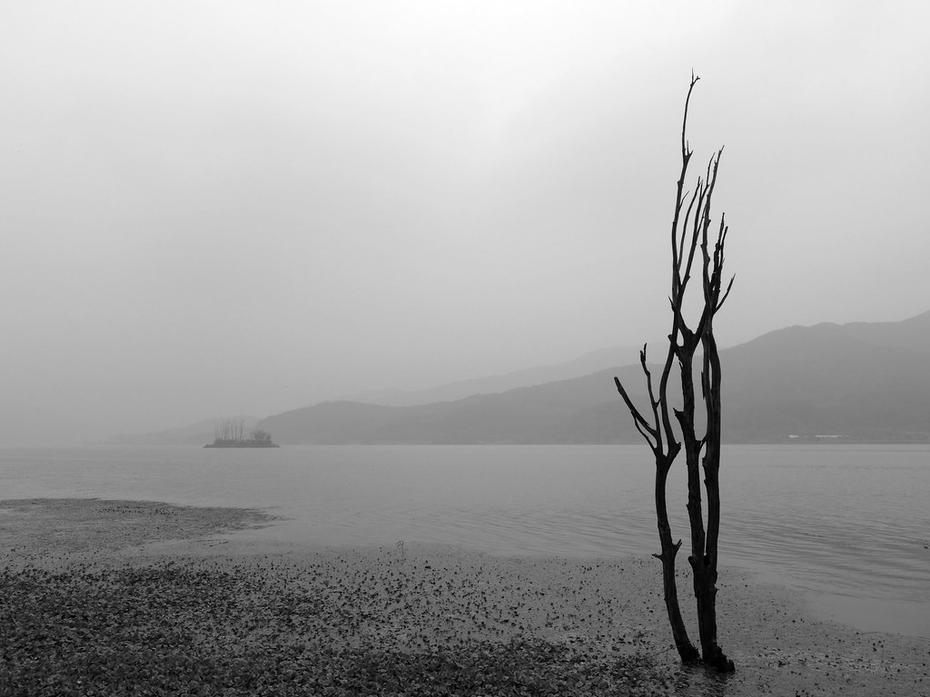 alone #alone #river #tree #RX100M2 #Yangsuri #Dumulmeori #… | Flickr