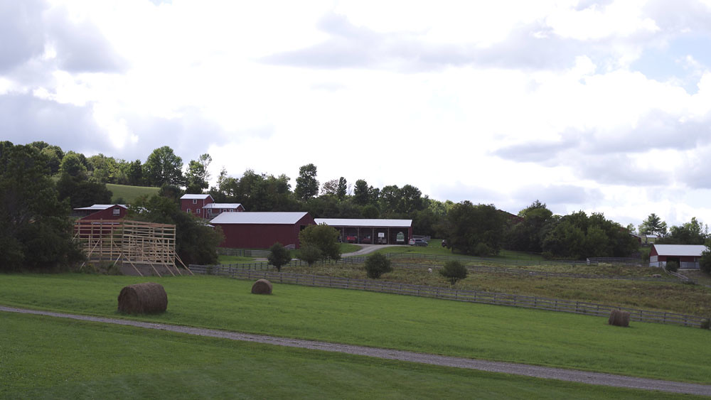 Farm sanctuary watkins glen jobs