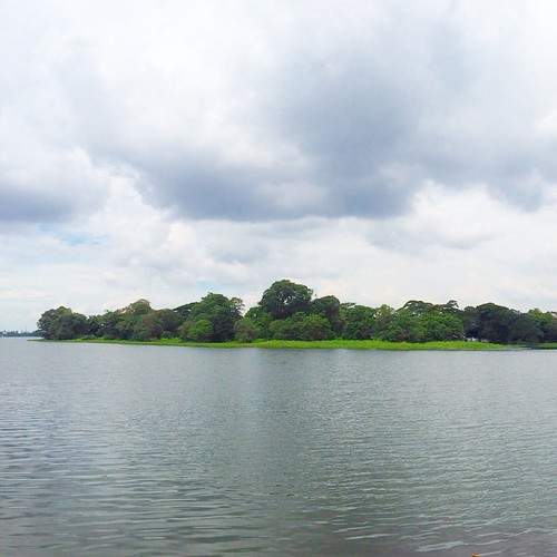 Whistle down the #wind at #Inya #lake #inyalake #Yangon #nature #unspoiled #Gaia #mothernature #yangonian #Instagram #tagstagram #takenbycharles by Charleszaw, square squareformat iphoneography instagramapp uploaded:by=instagram