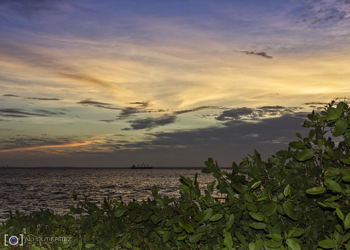 sunrise landscape lago natural venezuela playa paisaje amanecer maracaibo veredadellago aligutierrez