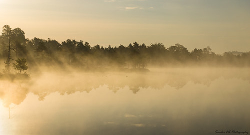 _DSC8973 by Sander Elb Photography, Kakerdaja raba/Kakerdaja bogreflection nature water fog forest sunrise estonia shadows bog lightstre
