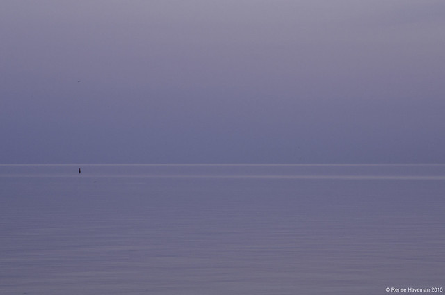 Wadden Sea at dusk