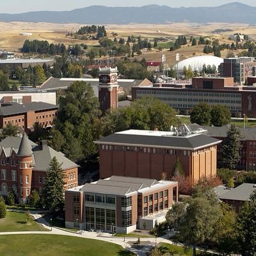#Sharknado is on TV. Where's the safest place @WSUPullman to escape from a #Sharknado? #GoCougs