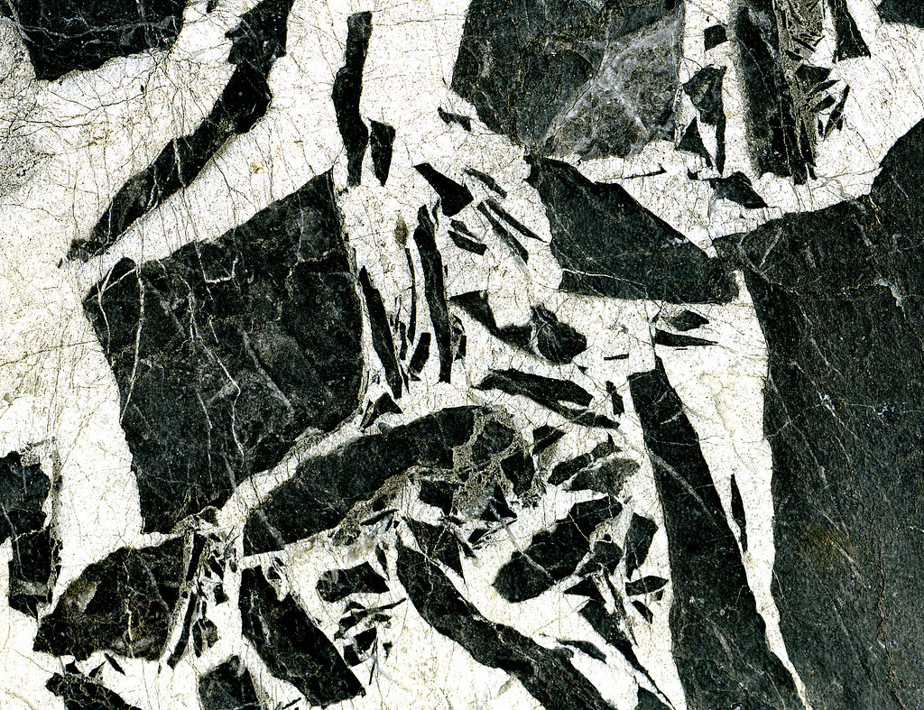 French Grand Antique Marble (tectonic limestone breccia) (quarry at Aubert, Pyrenees Mountains, France) 1