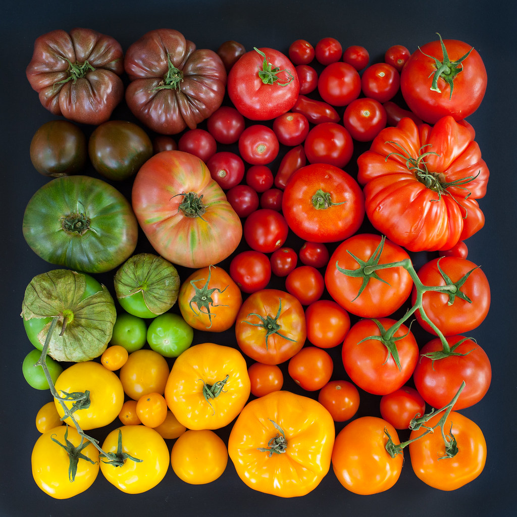 tomato season