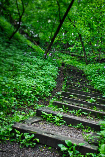 wood green minnesota stairs steps