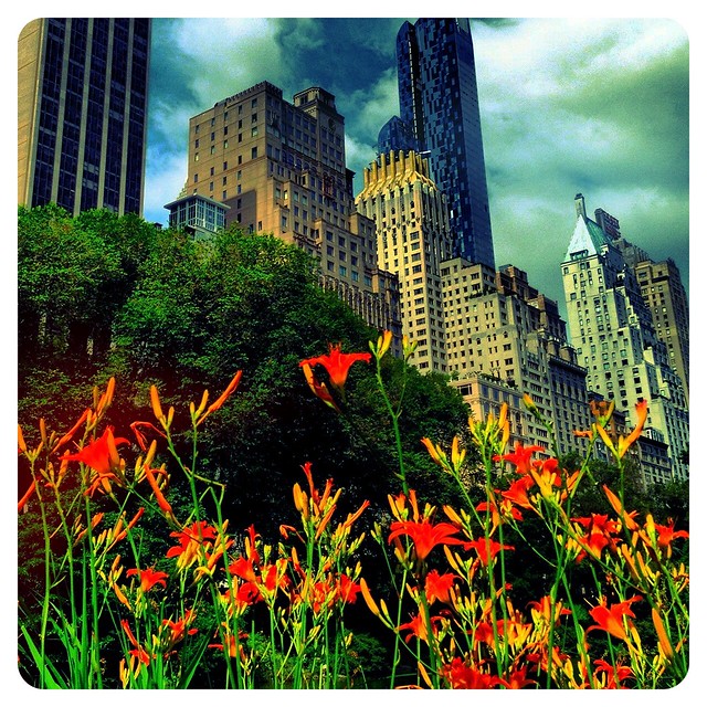 City Backdrop- Central Park, NYC
