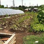 Oliver Community Farm