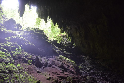 Rio Camuy Cave Park