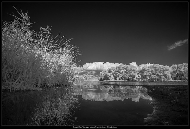 Sony NEX-7 infrared with SEL 4/10-18mm OSS@10mm