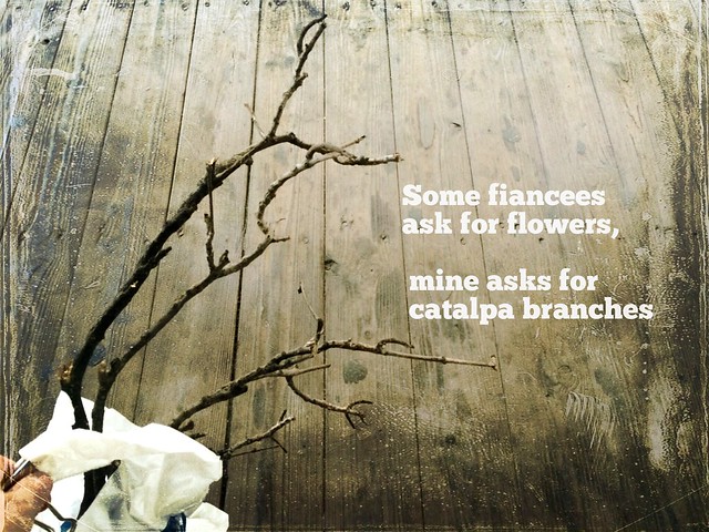 Some fiancées ask for flowers, mine asks for catalpa branches