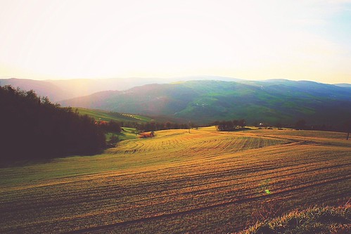 Uprising. by Reus™, pictures light sunset summer sky music sun color green colors up set skyline sunrise canon photograp