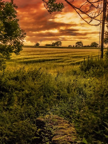 scotland twilight perthshire fields woodside burrelton