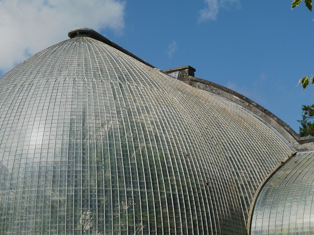 Bicton Gardens- The Palm House Roof