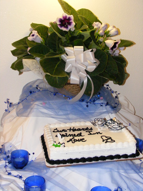 The cake on its decorated table