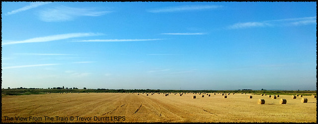 The View From the Train 20130814_075320 Hay Bales IV