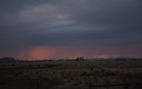 sky night clouds landscape evening countryside cattle cloudy dusk overcast australia pasture nsw showers eveningsky cloudscape nightfall northernrivers coraki richmondvalley australianweather richmondriverfloodplains seelimcreek seelemscreek seelimscreek